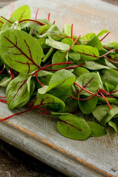 Frische Schmackhafte Salatblätter — Stockfoto