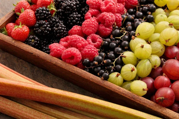 Frutas Frescas Baga Mista — Fotografia de Stock