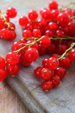 taze sağlıklı redcurrants hazırlanıyor