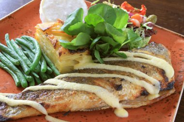 taze balık unu kaplama