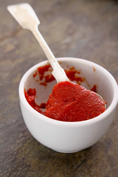 Rich Tomato Puree Paste — Stock Photo, Image