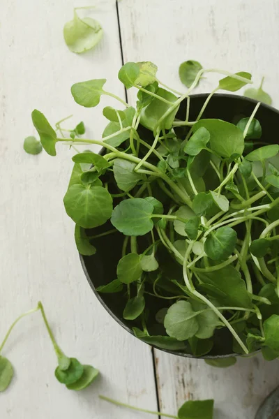 Feuilles Salade Fraîches Savoureuses — Photo