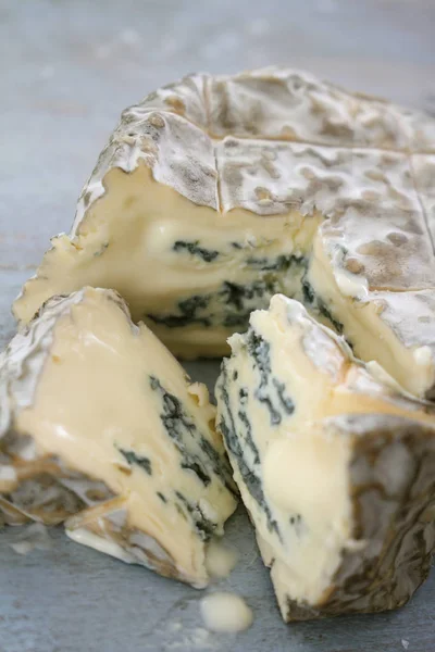 Delicious Soft Blue Cheese — Stock Photo, Image