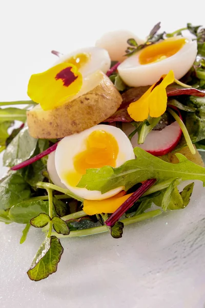 ウズラの卵とジャガイモのサラダ — ストック写真