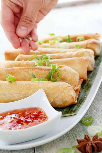 Chiński Spring Roll Zakąska — Zdjęcie stockowe