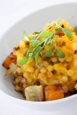 Vejetaryen ana yemek kaplama