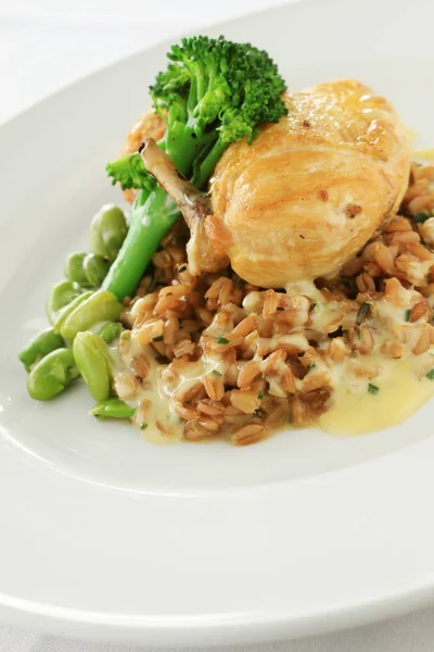 Plated Chicken Main Meal — Stock Photo, Image