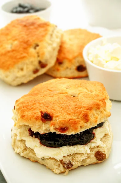 Scones Frescos Assados Placa — Fotografia de Stock