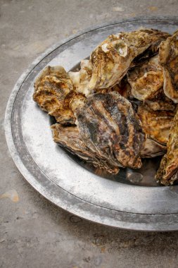 taze canlı İngiliz istiridye