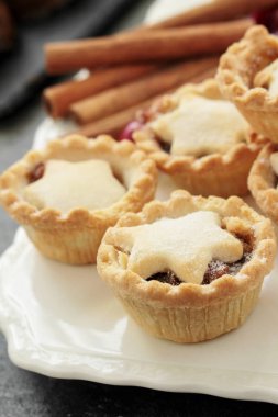 Taze pişmiş kıymalı börek