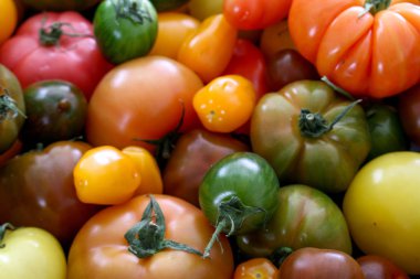 karışık sağlıklı miras domates