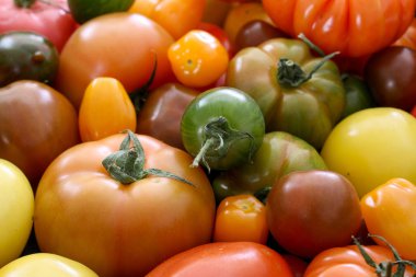 karışık sağlıklı miras domates