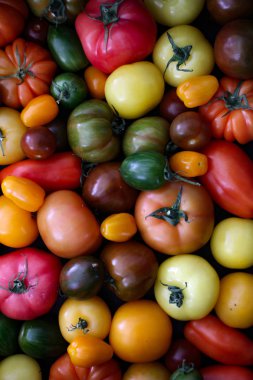 karışık sağlıklı miras domates