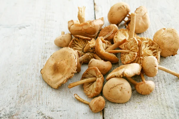 Fresh Uncooked Mushrooms Table — Stock Photo, Image