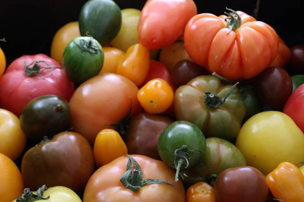 Gesunde Tomaten Gemischt — Stockfoto