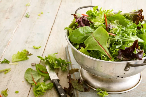 Hojas Ensalada Sabrosas Frescas — Foto de Stock