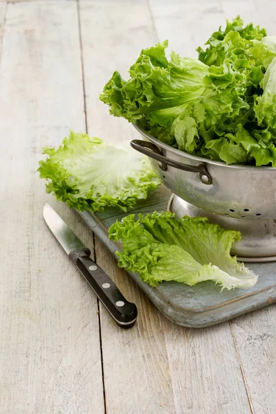 Hojas Ensalada Sabrosas Frescas — Foto de Stock