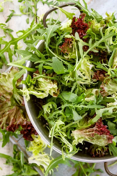 Frisse Heerlijke Salade Bladeren — Stockfoto