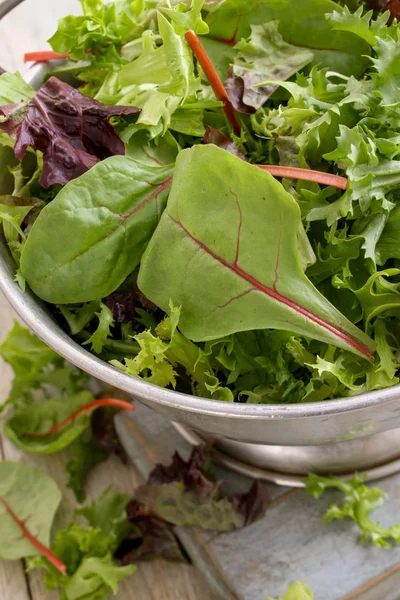 Folhas Salada Saborosas Frescas — Fotografia de Stock