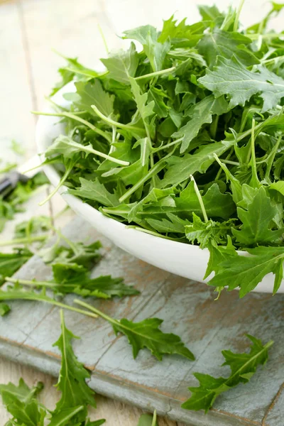 Frisse Heerlijke Salade Bladeren — Stockfoto