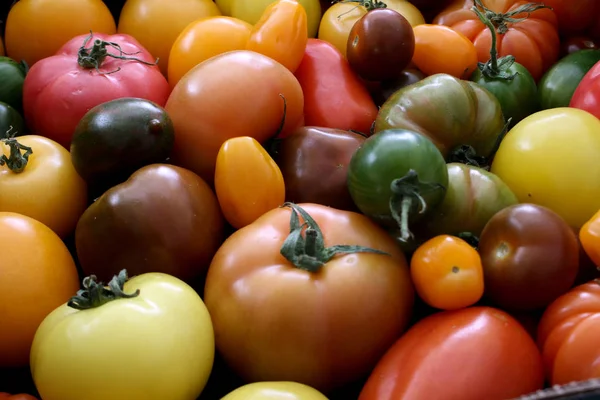 Tomates Herança Misturados — Fotografia de Stock