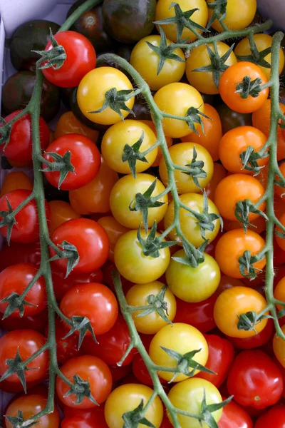 Gesunde Tomaten Gemischt — Stockfoto