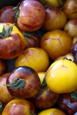 karışık sağlıklı miras domates