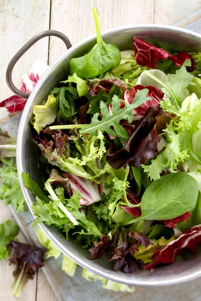 Ferske Salatblader – stockfoto