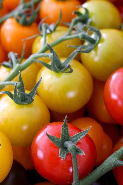 Tomates Herança Misturados — Fotografia de Stock