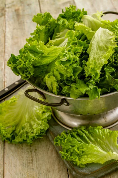 Frische Schmackhafte Salatblätter — Stockfoto