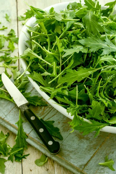 Frisse Heerlijke Salade Bladeren — Stockfoto