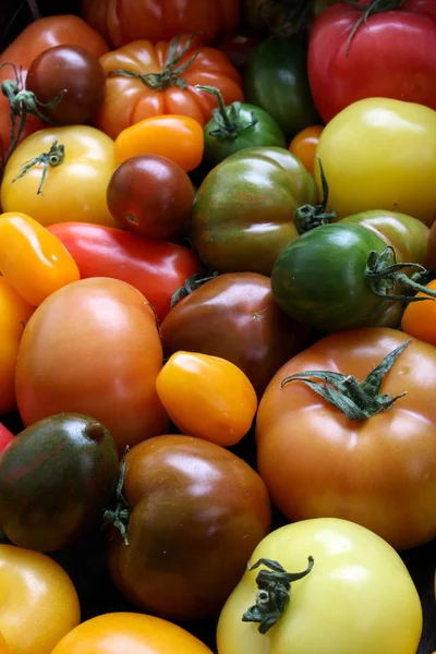 Gesunde Tomaten Gemischt — Stockfoto