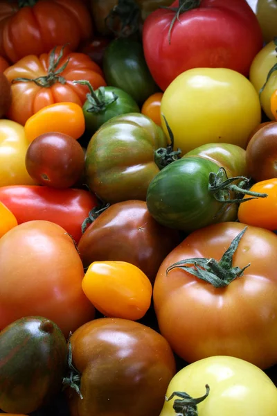 Tomates Herança Misturados — Fotografia de Stock