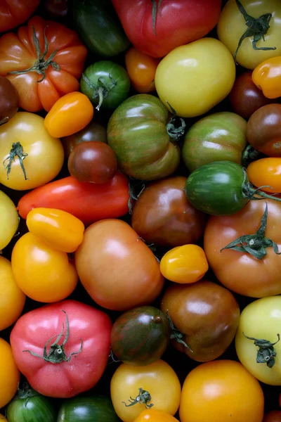 Tomates Herança Misturados — Fotografia de Stock