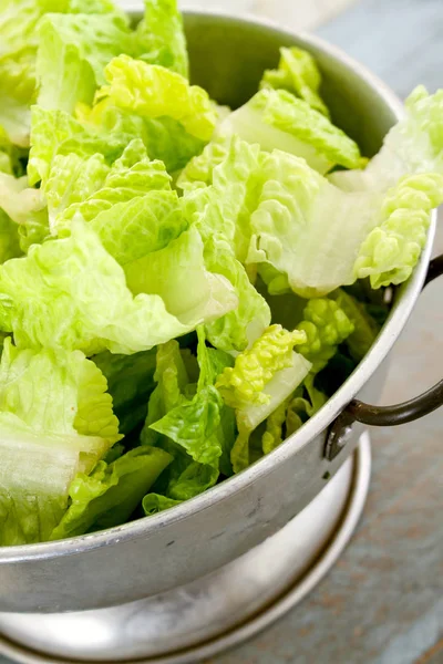 Friske Velsmagende Salatblade - Stock-foto