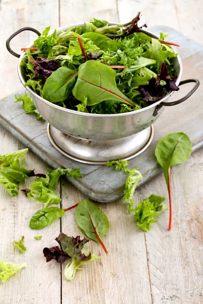 Frische Schmackhafte Salatblätter — Stockfoto