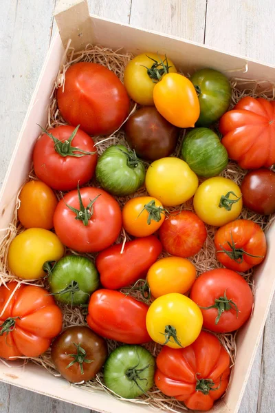 Mixed Healthy Heritage Tomatoes — Stock Photo, Image