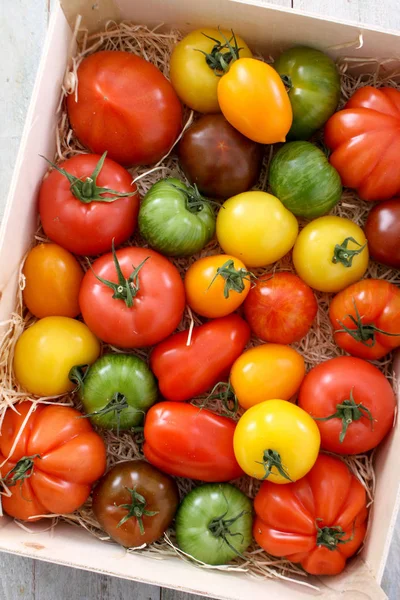 Tomates Héritage Santé Mélangées — Photo