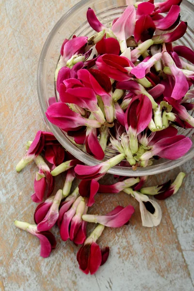 Edible Bean Blossom Petals — Stock Photo, Image