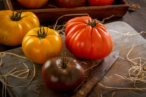 Mixed Healthy Heritage Tomatoes — Stock Photo, Image