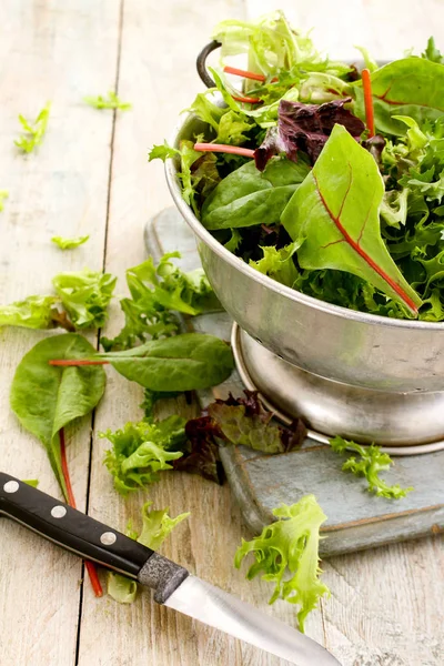 Ferske Salatblader – stockfoto