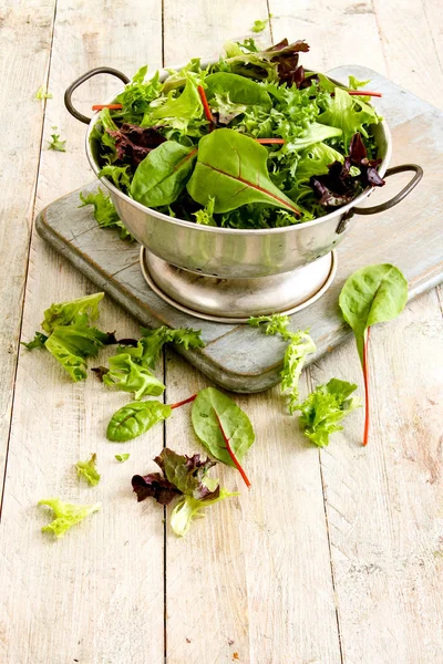 Hojas Ensalada Sabrosas Frescas — Foto de Stock