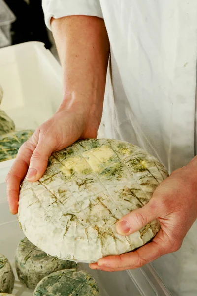 Hombre Haciendo Queso Artesanal — Foto de Stock