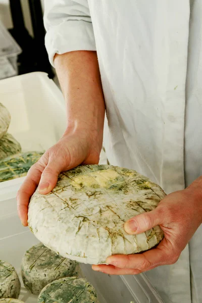 Hombre Haciendo Queso Artesanal — Foto de Stock