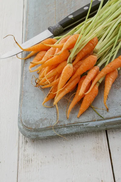 Preparing Small Baby Carrots — Stock Photo, Image