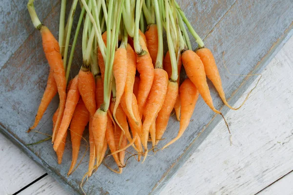 Preparación Zanahorias Bebé Pequeño — Foto de Stock