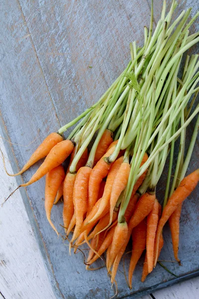 Preparación Zanahorias Bebé Pequeño — Foto de Stock