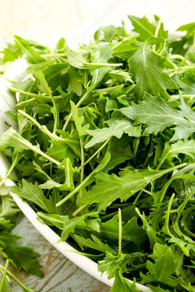 fresh tasty salad leaves