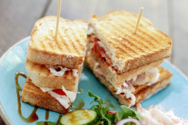 sebze ile taze kızarmış sandviç 