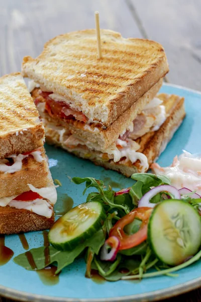 Sanduíche Fresco Torrado Com Legumes — Fotografia de Stock